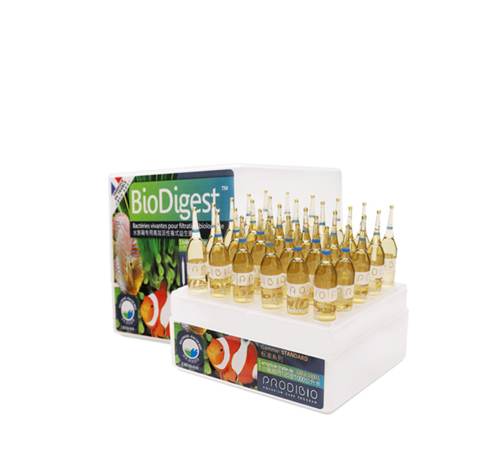 Prodibio BioDigest fish tank P - Cleaner Fish Aquarium ulasan dan harga