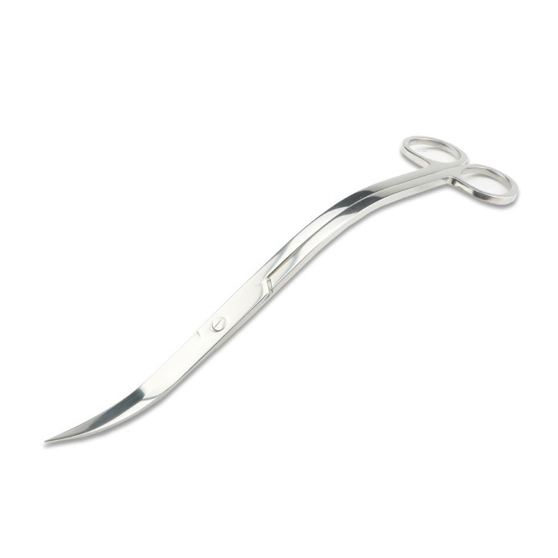 Aquarium Scissors Tweezers Too - Cleaner Fish Aquarium ulasan dan harga