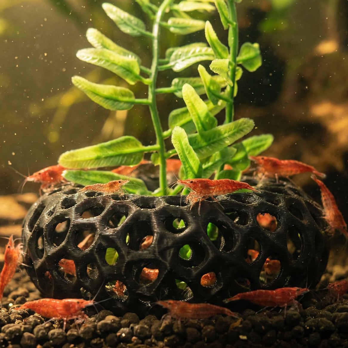 Hot selling 3D printed aquariu - Aquarium Fish Reproduction ulasan dan harga