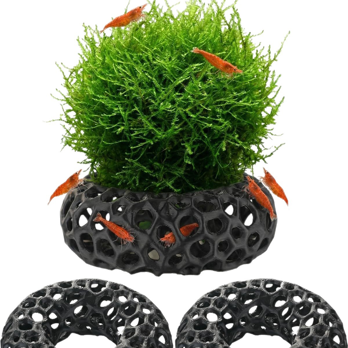 Hot selling 3D printed aquariu - Aquarium Fish Reproduction ulasan dan harga