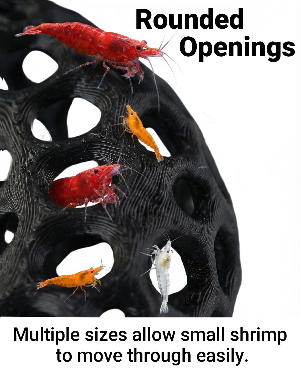 Hot selling 3D printed aquariu - Aquarium Fish Reproduction ulasan dan harga